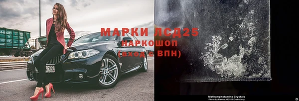 сатива Горнозаводск