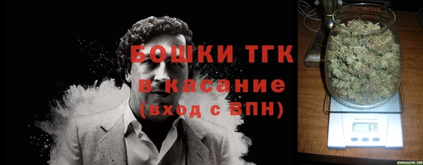 сатива Горнозаводск