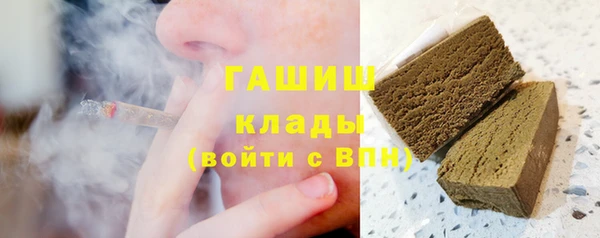 сатива Горнозаводск