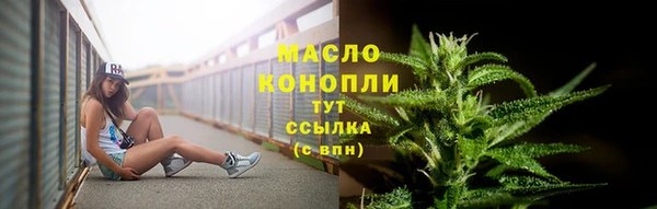 сатива Горнозаводск