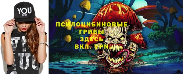дживик Горно-Алтайск
