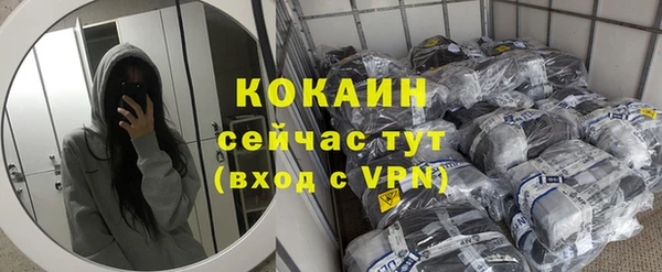 сатива Горнозаводск