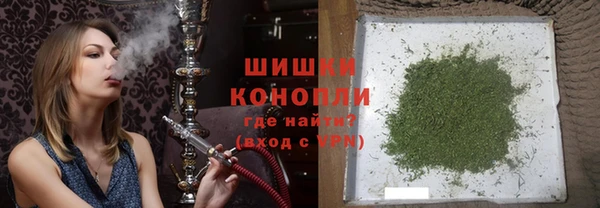 сатива Горнозаводск
