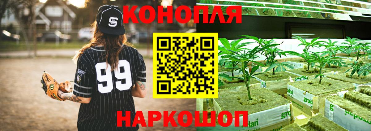Мценск  Канабис семена  МАРИХУАНА OG Kush  Канабис индика  Вход с VPN  Каннабис Amnesia 